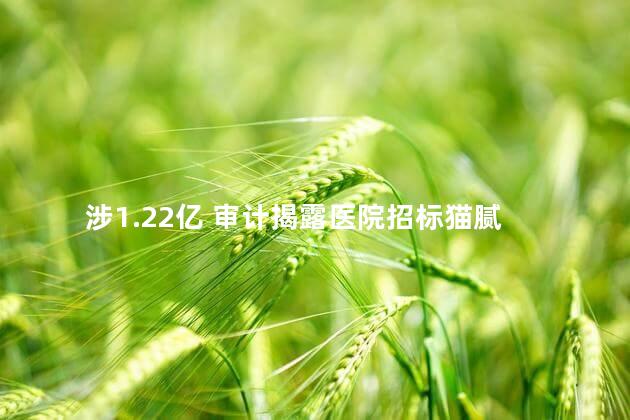 涉1.22亿 审计揭露医院招标猫腻